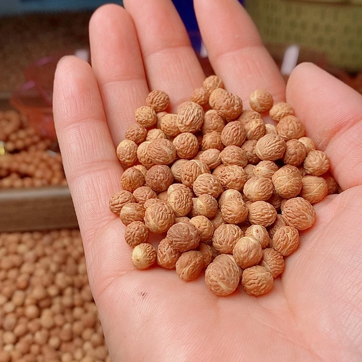 凤眼菩提吊坠国产凤眼酸枣核手串100颗手工精修