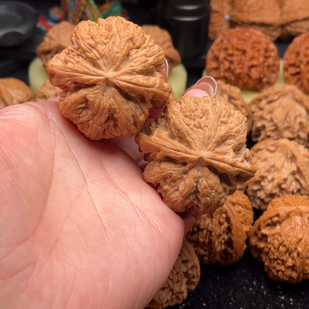 森***把件核桃粗筋全46