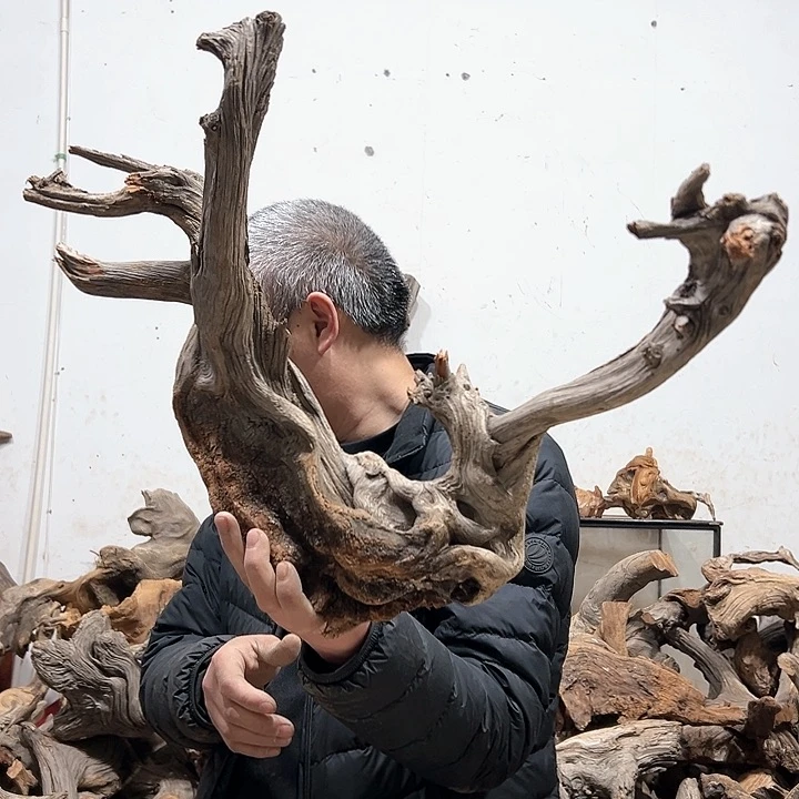 柏木分*我们的生活也会