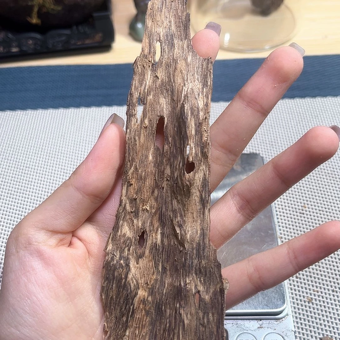 香榧木海南大山奇楠泡5克