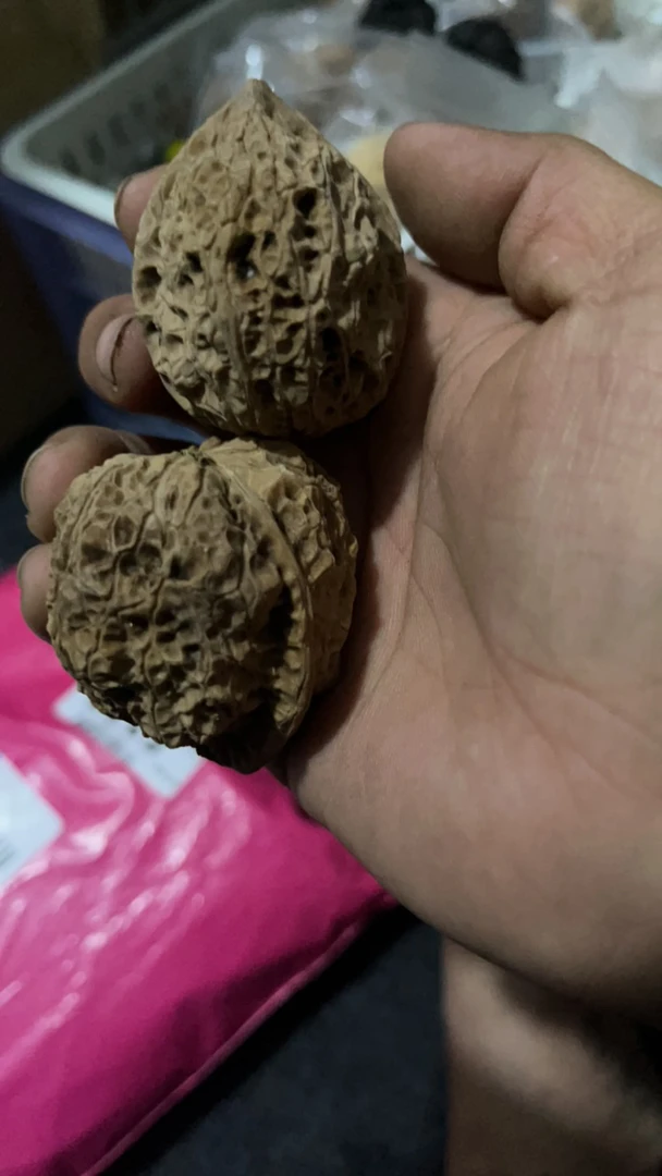 大枯石云南铁核桃