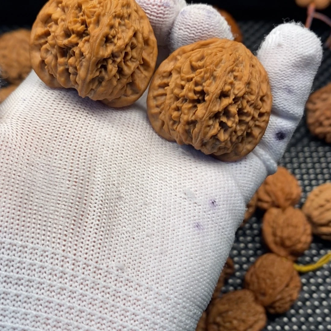 秦岭山地核桃流星雨