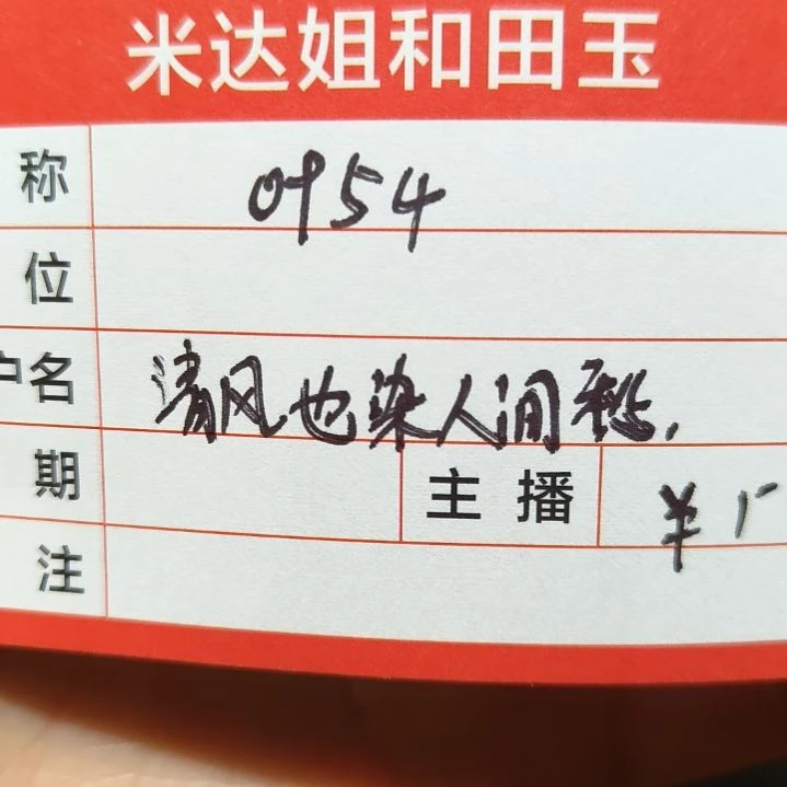 和田玉颈饰未镶嵌清****愁