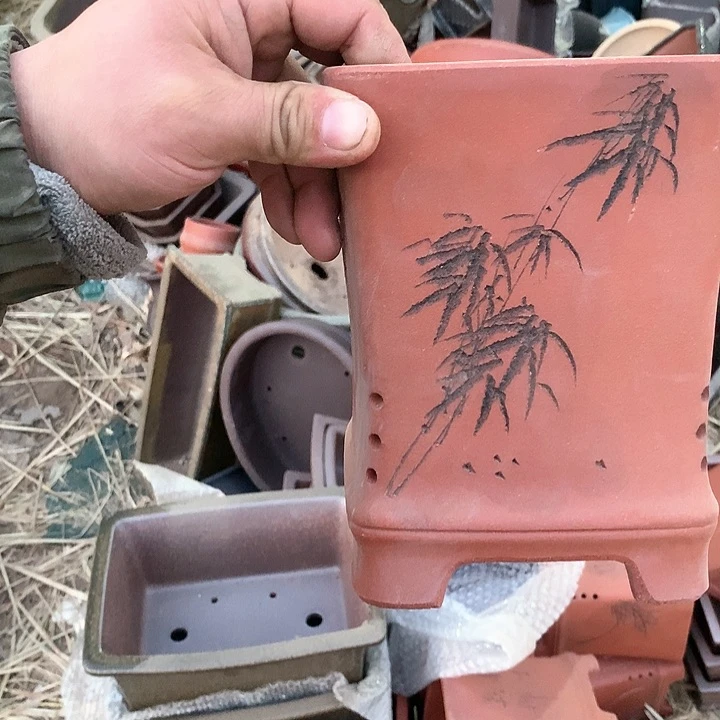 紫砂优秀青年科技人才创新人才