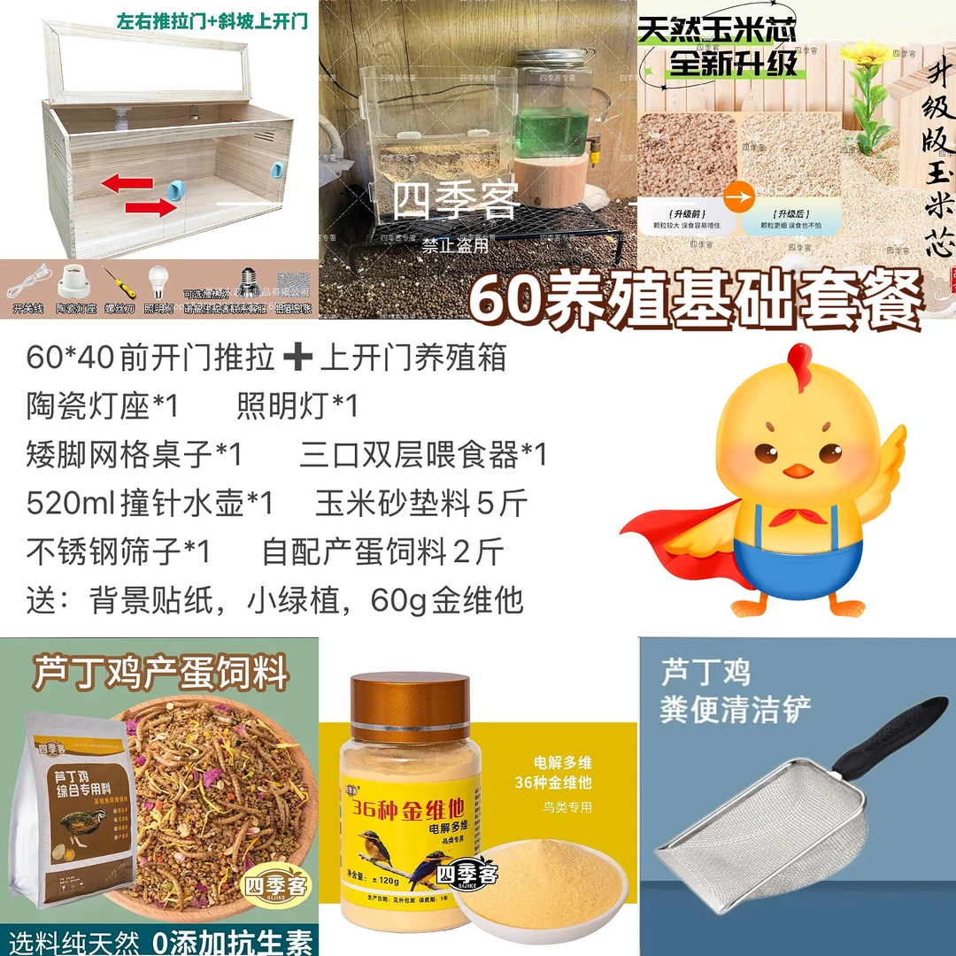网红鸡芦丁鸡养殖新手入门一站式配齐无忧购平顶箱子上开网格门