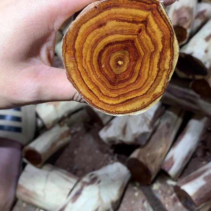 花梨木类海南黄花梨