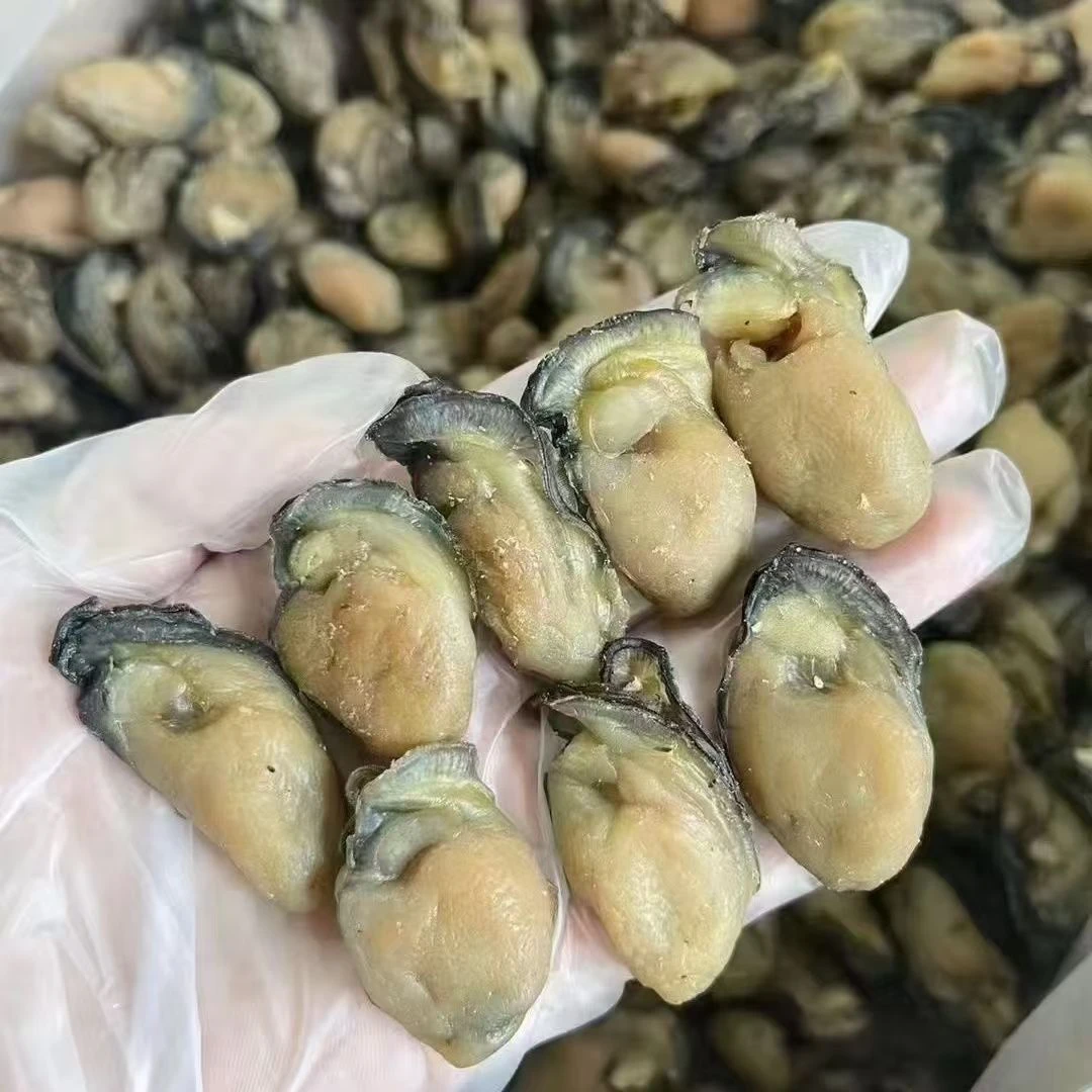 生蚝干海蛎干牡蛎干特产淡干海产干货现货甄选海鲜干货火锅食材
