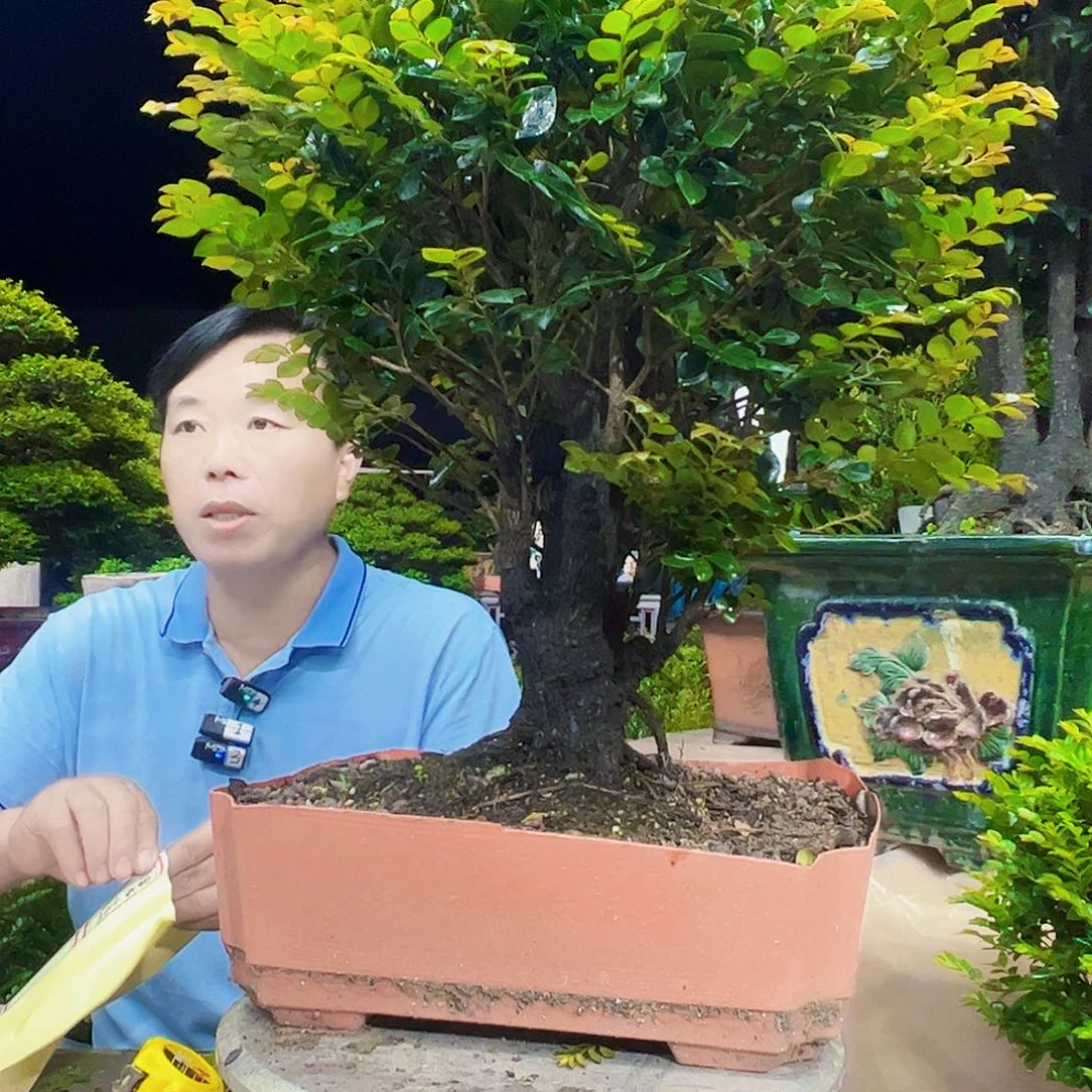 无花朵手****112345678