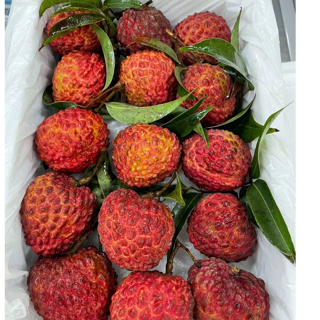 海口火山荔枝王一箱荔枝同城送上海市