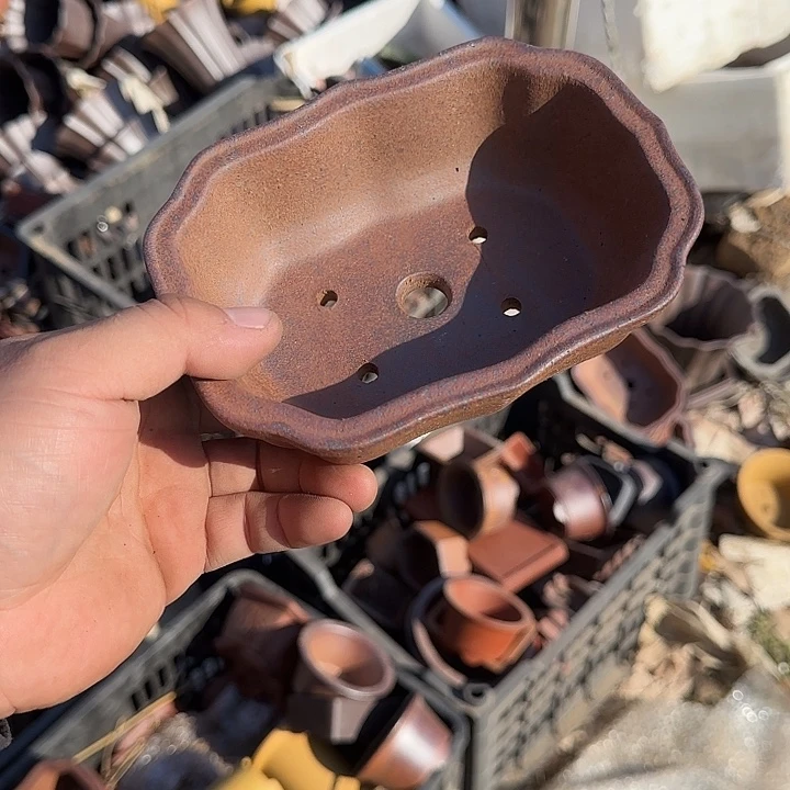 是因为她太喜欢了所以还是觉得不应该在学校看这个综艺或者节目去