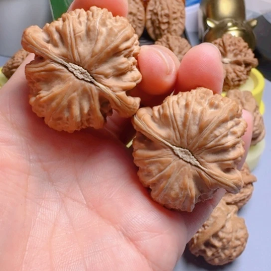 经典款白狮子文玩核桃