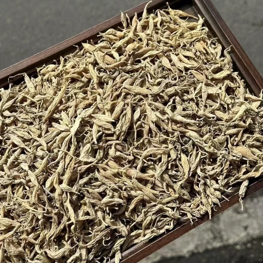 【岐道-曾】 深山- 野-麦冬