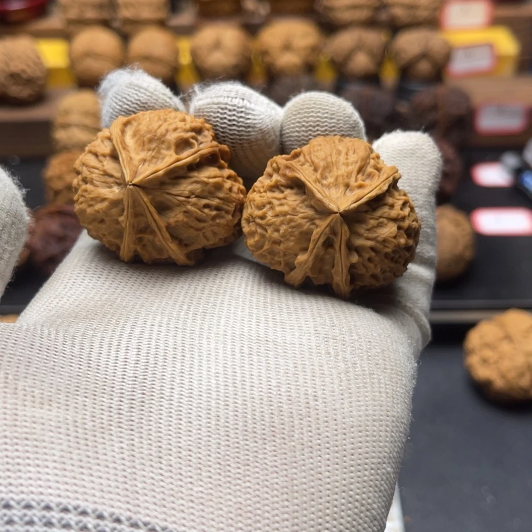 39mm四棱蝴蝶结 一物一图