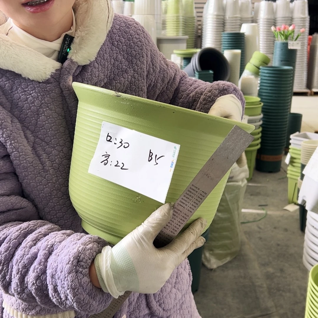 瑕疵仿陶B5果绿5个无托