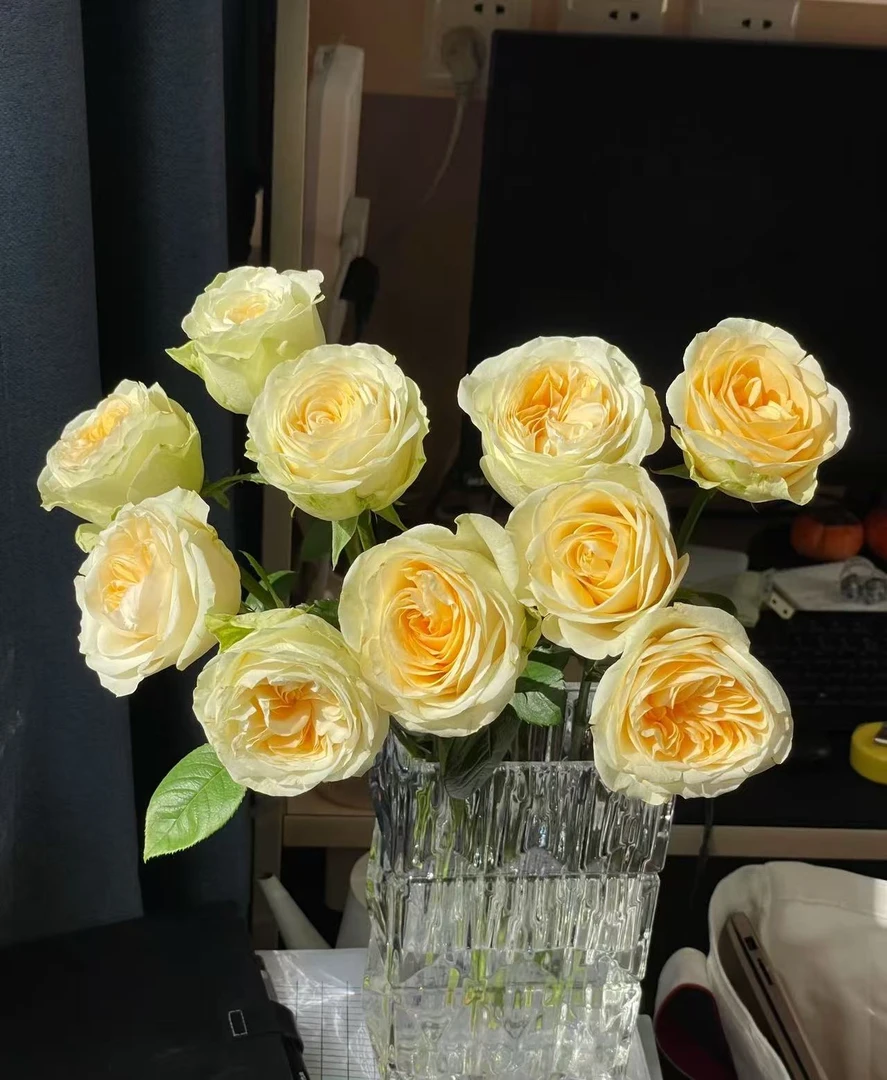 【AB级蝶舞玫瑰】全场鲜花任意两单及以上包邮