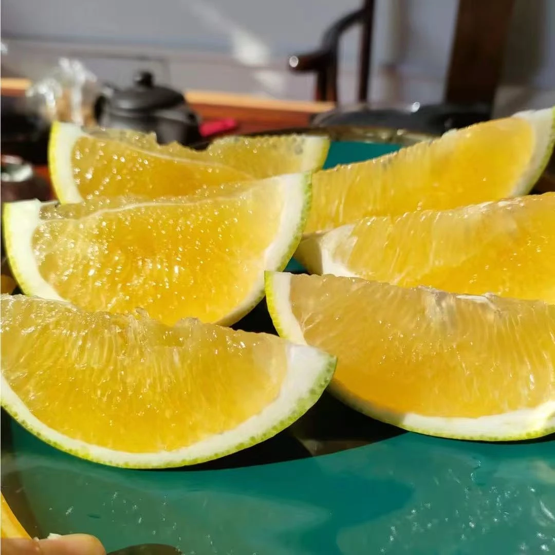 【爆汁翡翠葡萄柚】青皮葡萄柚绿宝石当季水果纯甜现采现发包邮送礼