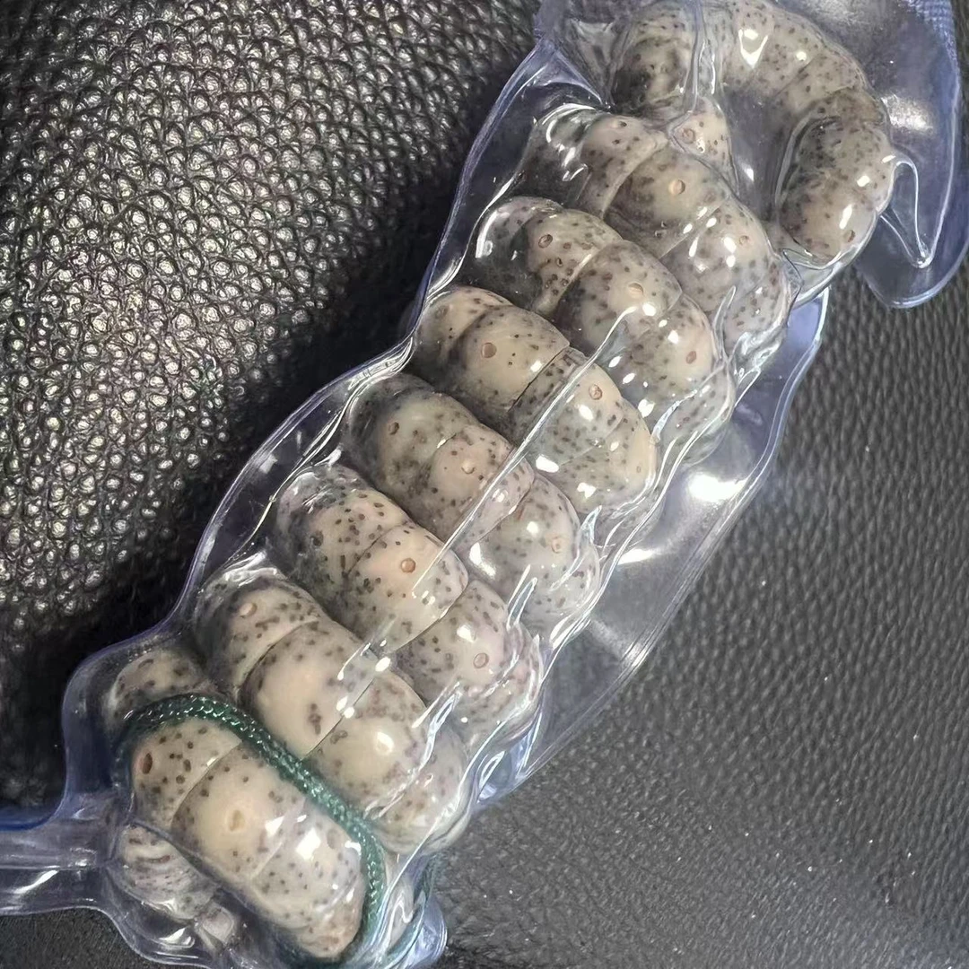 尺寸10+mm左右星月菩提大肠一条《小鱼文玩》
