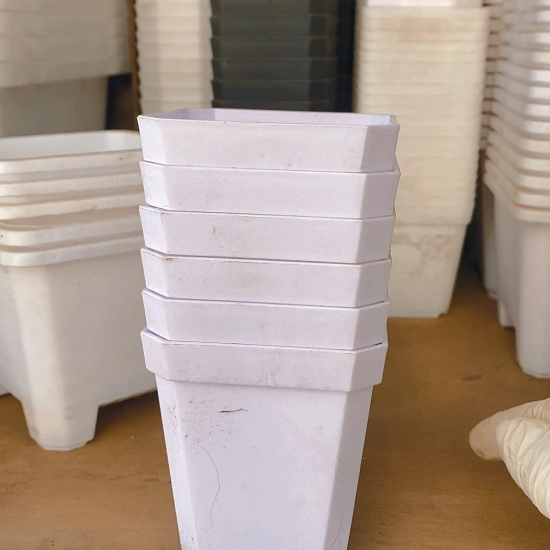 塑料新7公分白方盆 加厚 20个