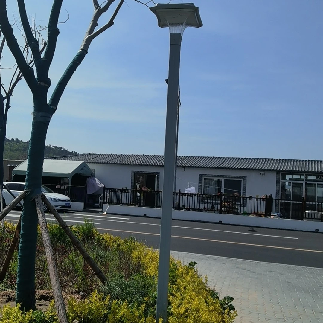100V-240V220V50W-100W道路灯具别墅公园投光灯广场室外
