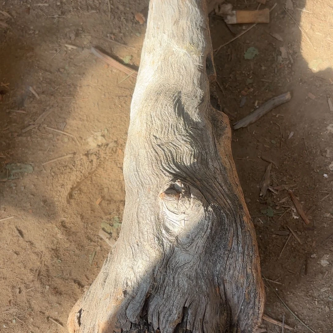 砖雕宁**远福利多多呀期待