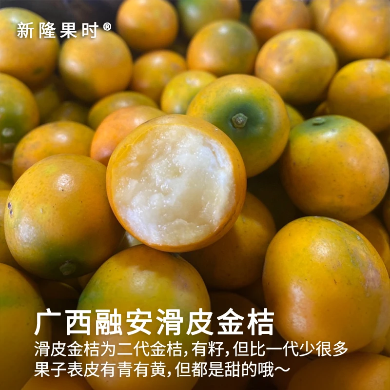 【新隆果时】广西融安滑皮金桔2斤装新鲜当季