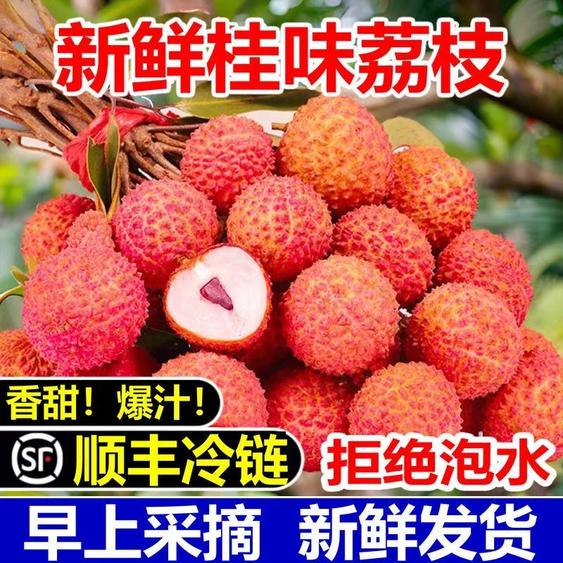 【当天发货】广东高州桂味荔枝新鲜现摘现发顺丰冷链包邮荔枝同城送