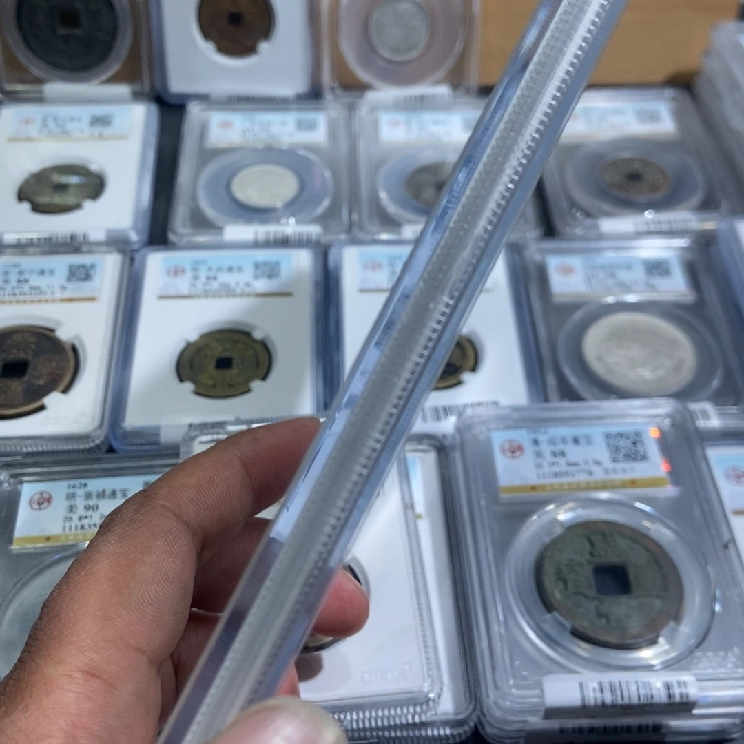 铜虎***中大头，daodao 5081