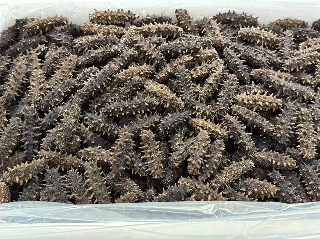 小太阳景云 六排刺 特产干货 250g