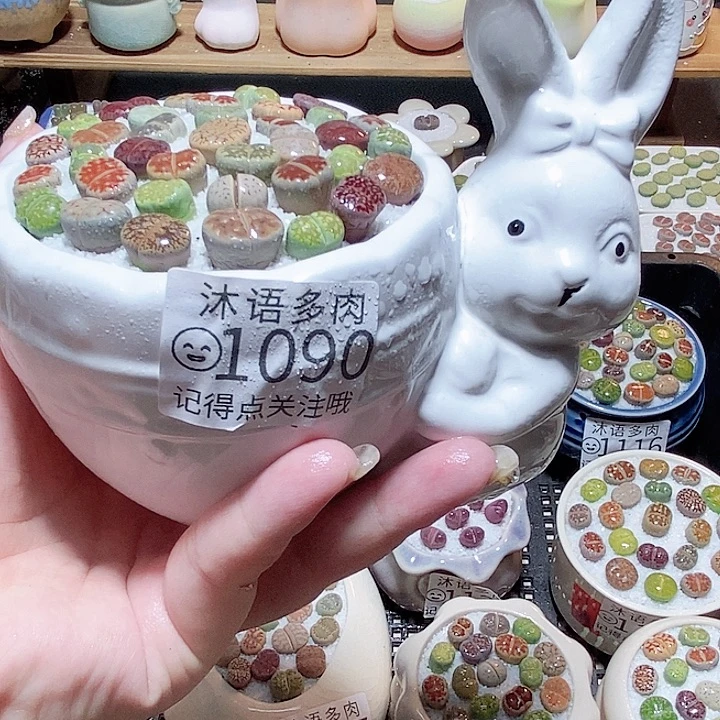 一物一拍 所见即所得1090