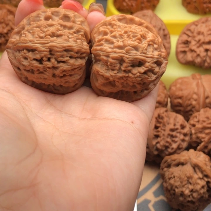 文玩核桃把件39白狮子全品