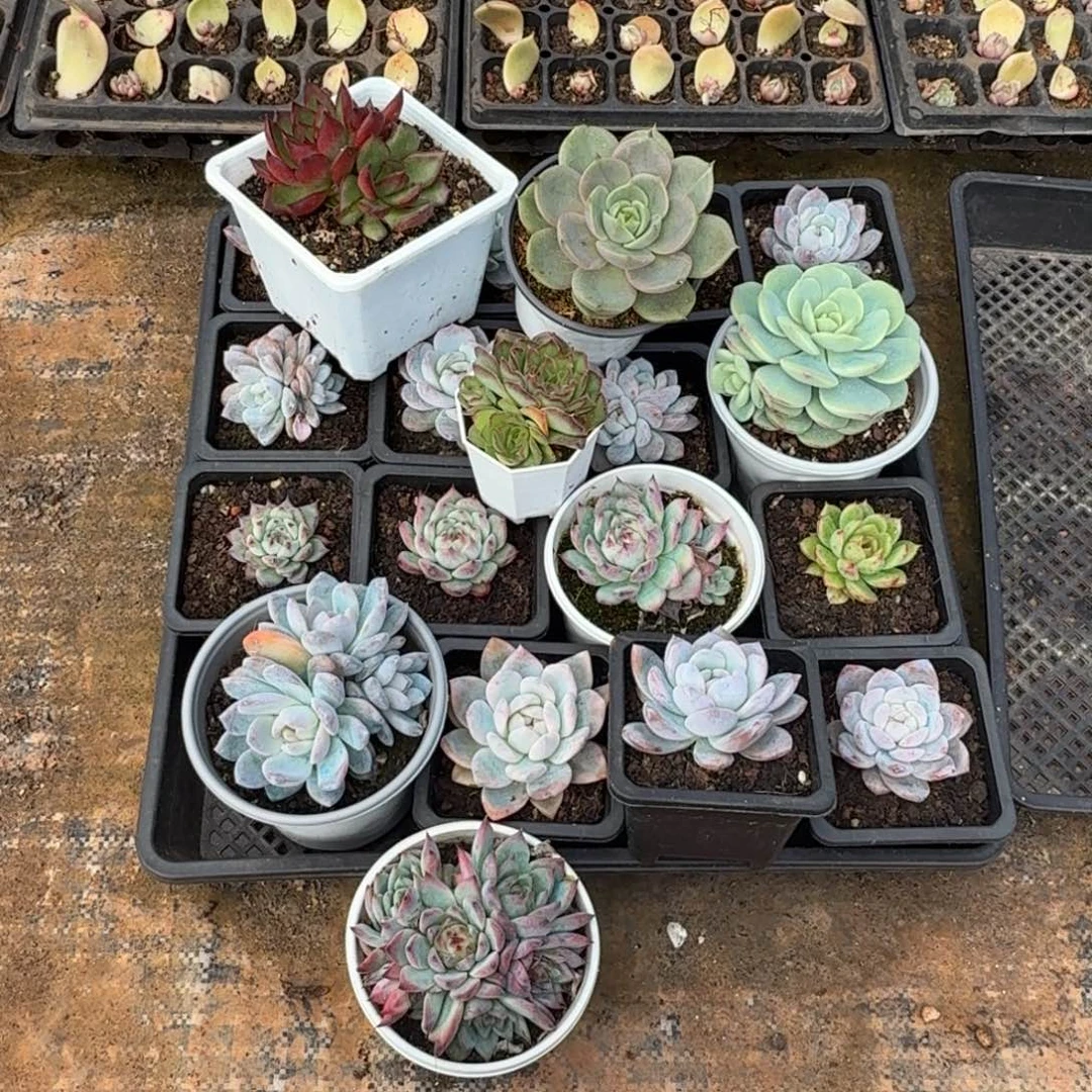 偏远地区不要拍这组