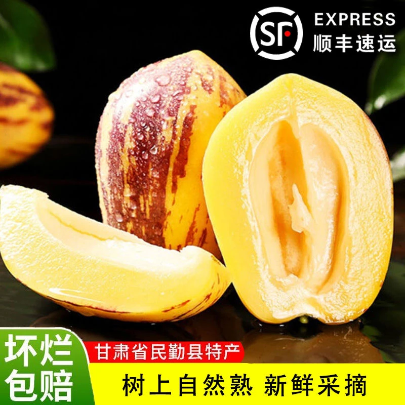 【顺丰】甘肃民勤沙漠树熟人参果4.5/8斤，产地直发坏果包赔