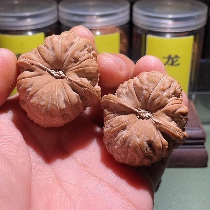 43头货正桩南瓜核桃