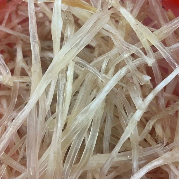 猪脚筋 煲汤炖汤营养好