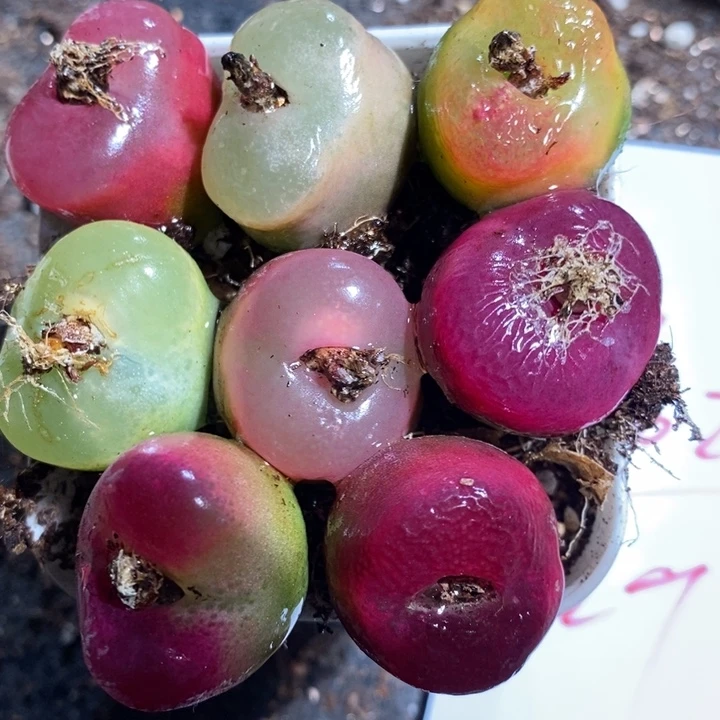 3102一组一组一组