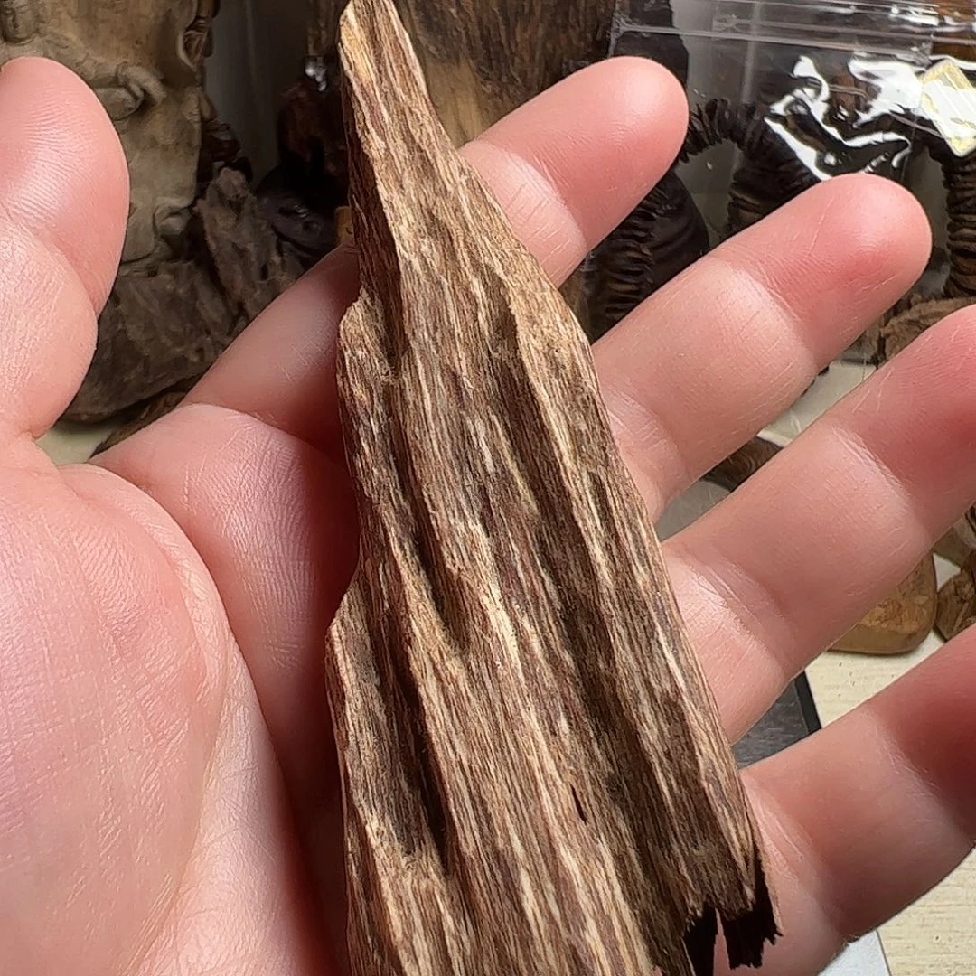 沉香碎屑沉香越南芽庄虫漏9克