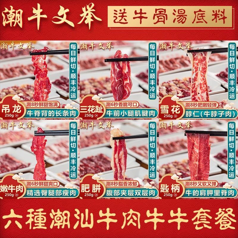 潮牛文举 正宗潮汕牛肉火锅纯牛肉套餐6种牛肉牛骨各250g共1750g