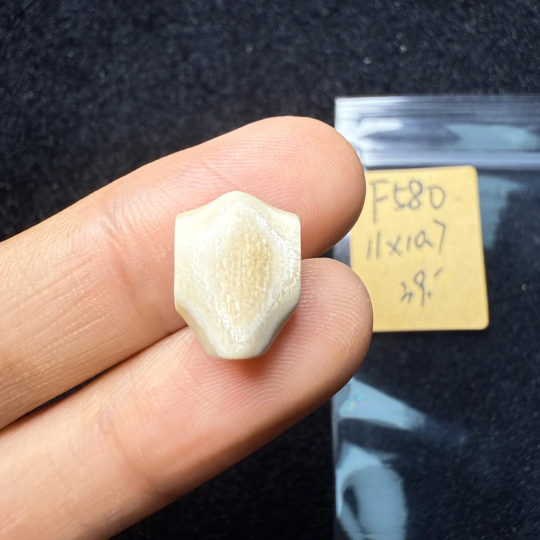 F580猛犸象牙对孔11*10.7mm鲨鱼背三通果冻料