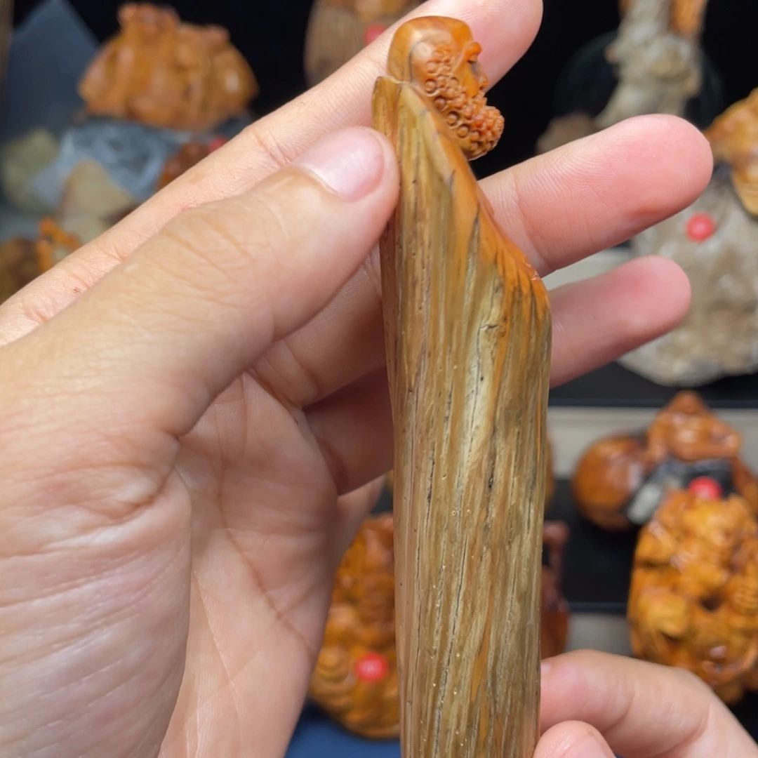 柏木（崖柏）655555885580