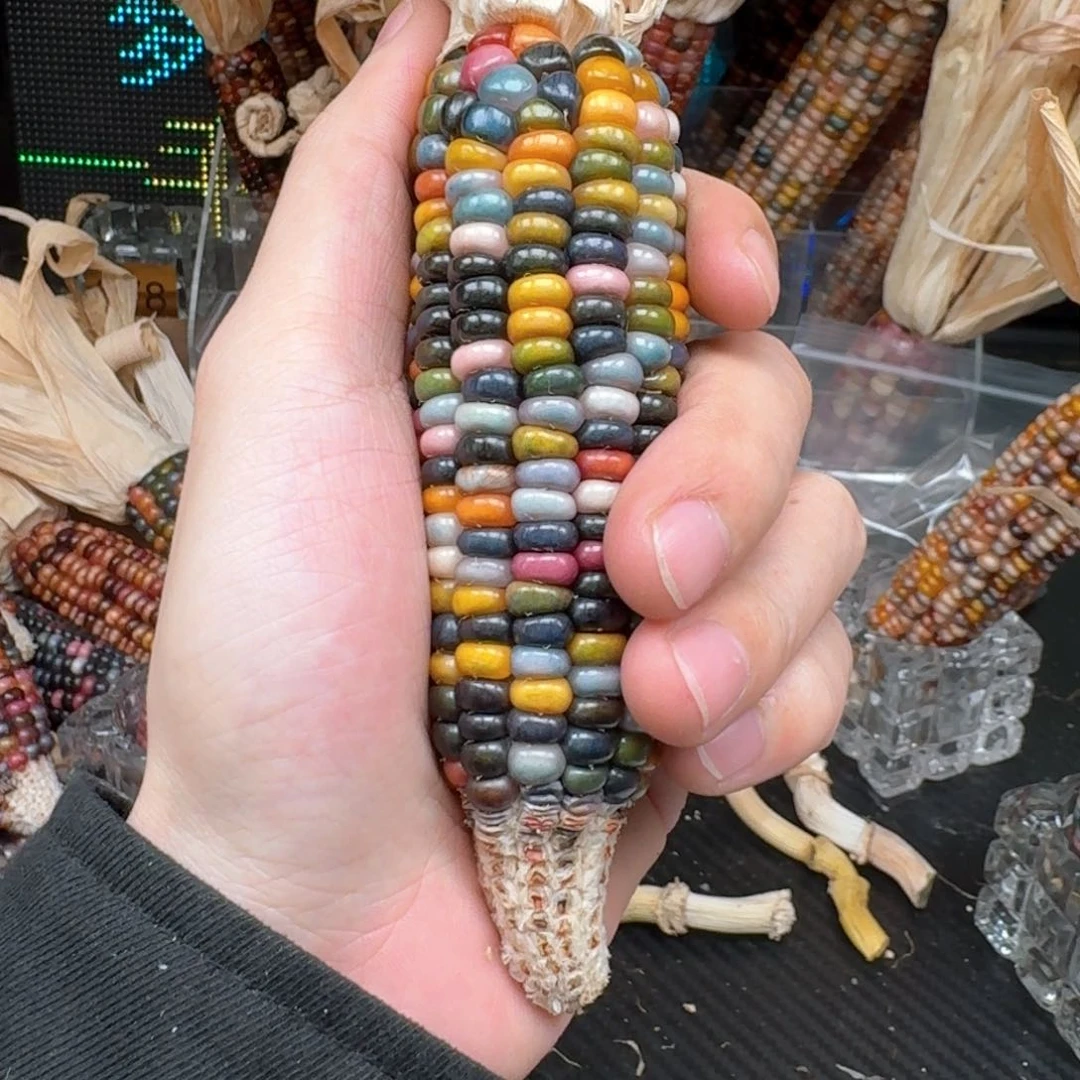 柏香籽/百香籽吊坠昵****天