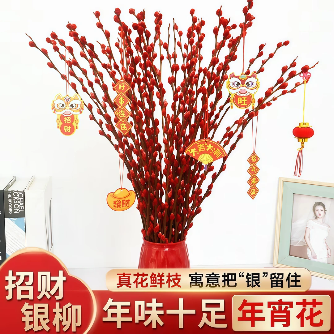 银柳真花鲜枝干花卉摆件室内客厅新年红色年宵花束装饰永生