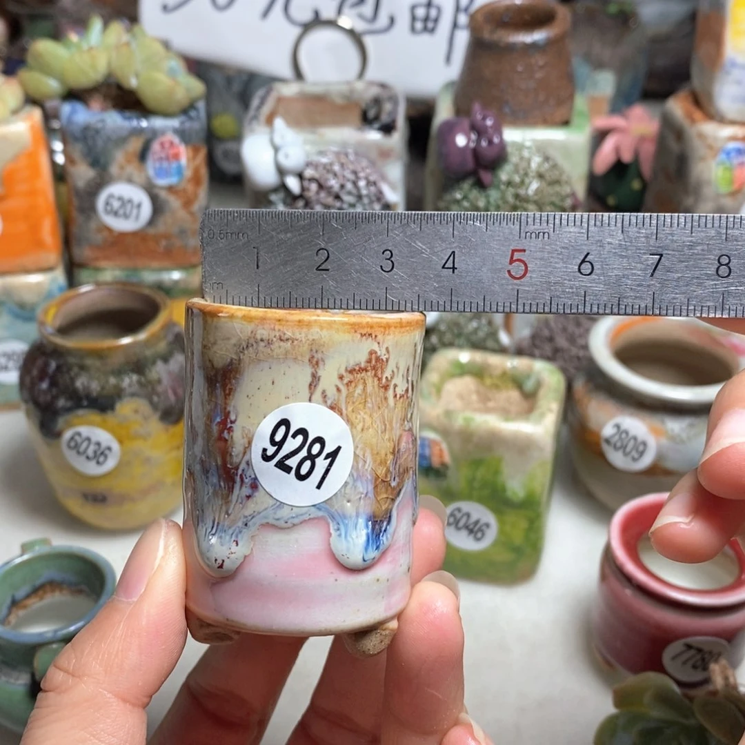 拍5送一个小礼物