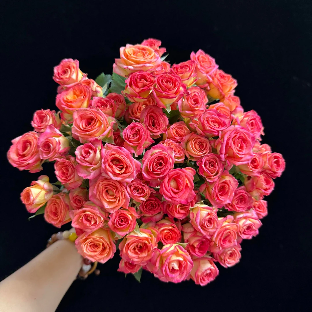 爱丽丝泡泡多头小玫瑰鲜花云南昆明直发切花适合客厅装饰