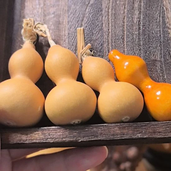 葫芦天津娜娜的绕指柔