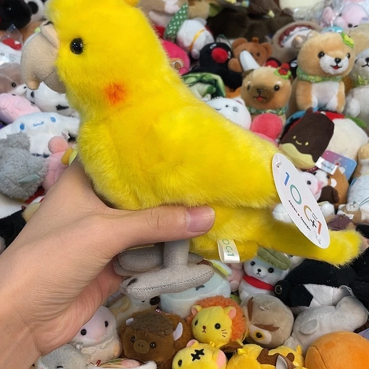 毛绒正版亏本促销