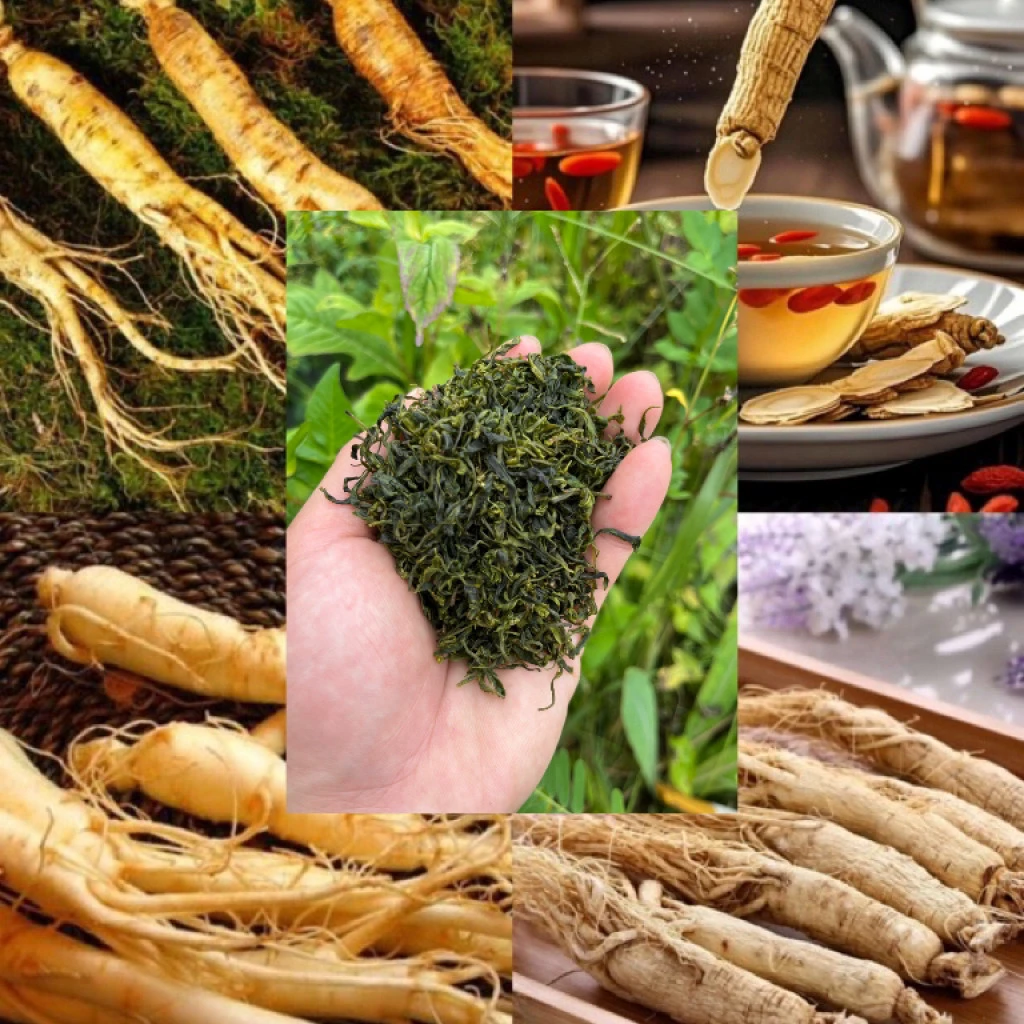 【彭彭现収山货】野-生-在-生-茶-250g-1000g食用农产品