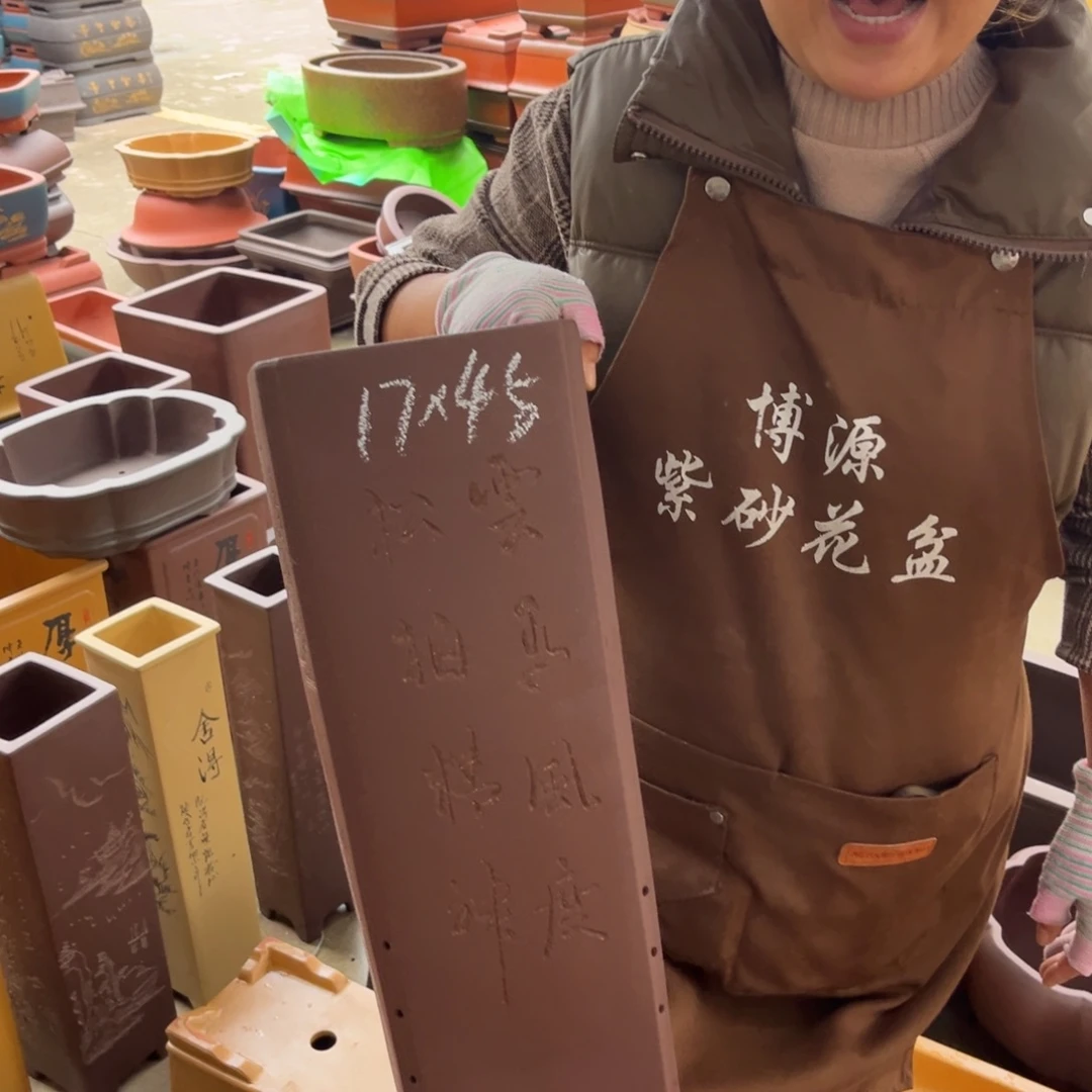 花盆紫砂盆景艺术