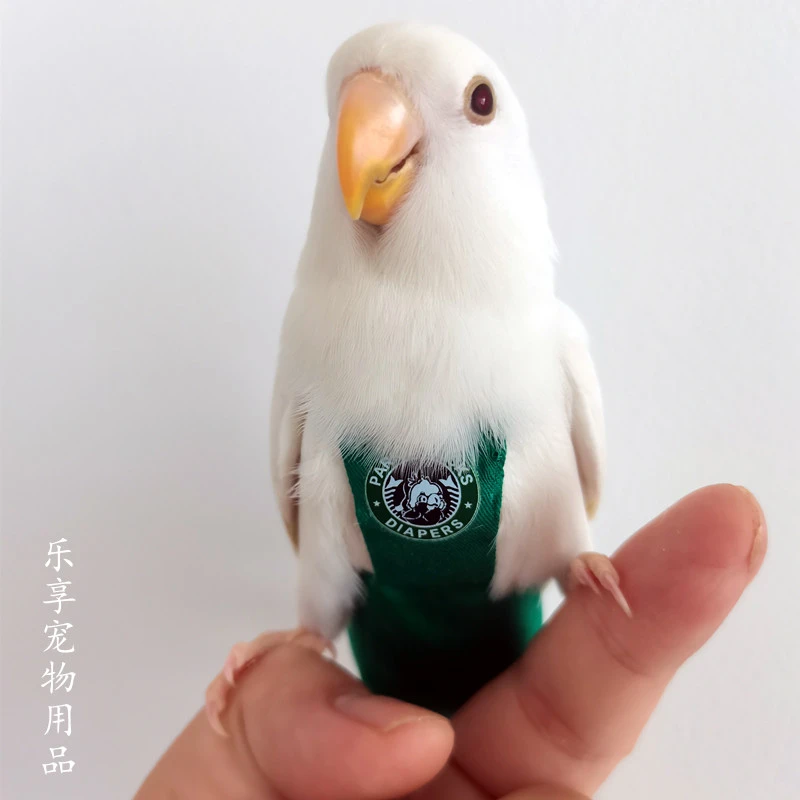 鹦鹉鸟尿不湿衣服虎皮玄凤屎兜尿裤尿布牡丹和尚外出可调节飞行服