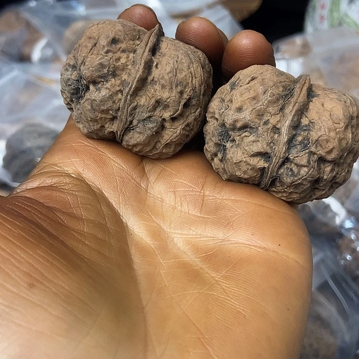 把件文玩核桃云南铁核桃基地12