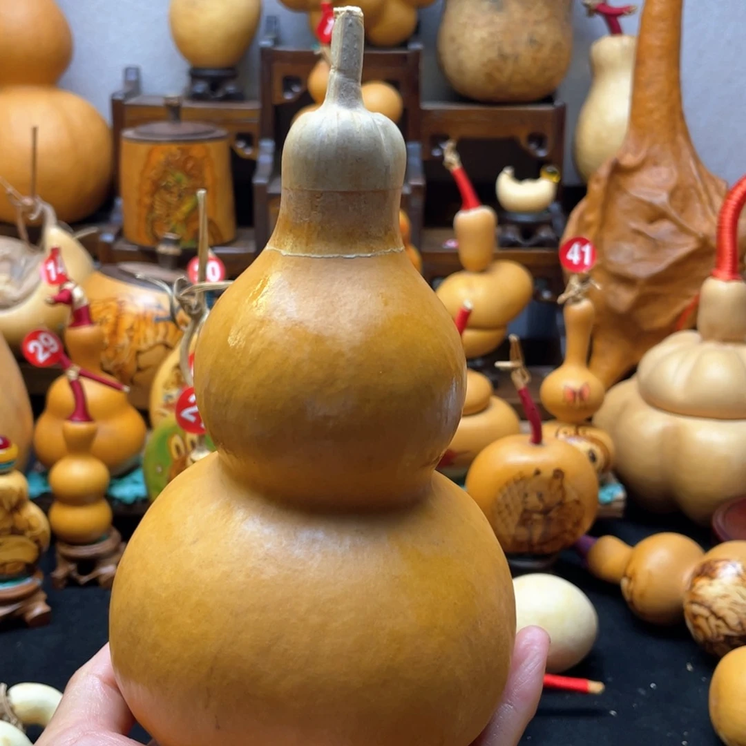 李****凉大自然的秘密第十节第二十